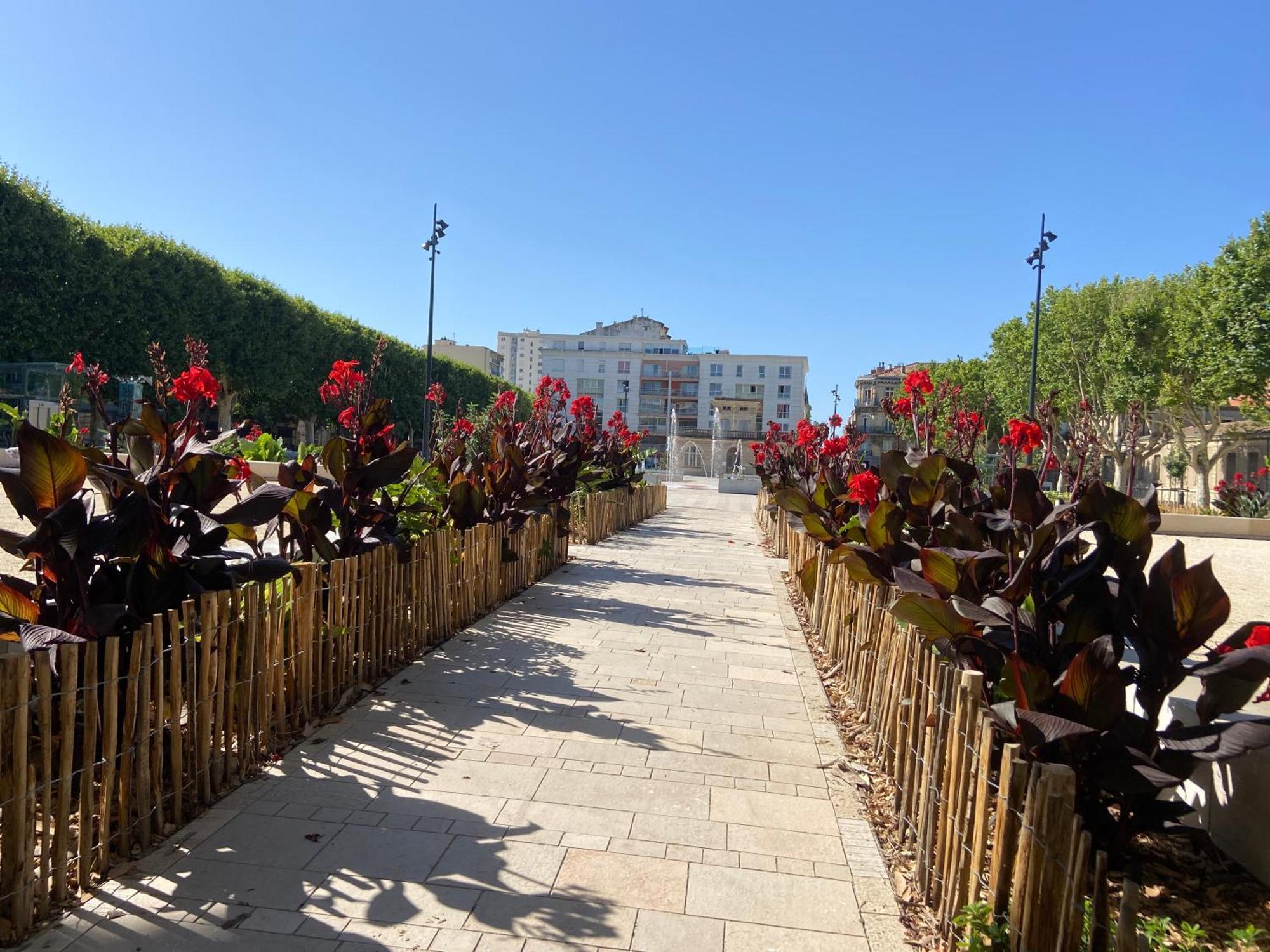 Charmant Appartement Central Terrasse Proche Gare Sete Ngoại thất bức ảnh